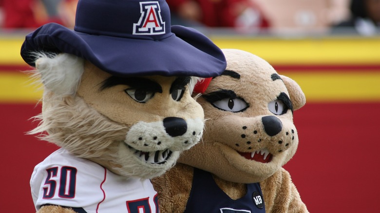 University of Arizona wildcat mascots posing