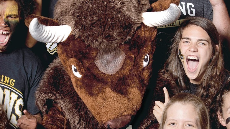 Harding University mascot cheering