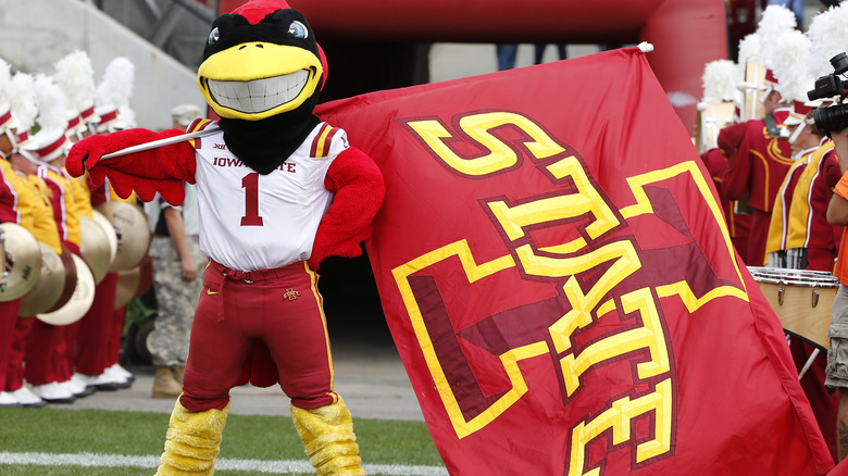 Iowa State University mascot Cy posing