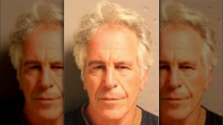 Epstein's final mugshot