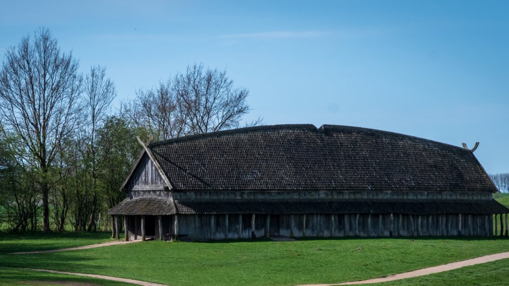 viking longhouse