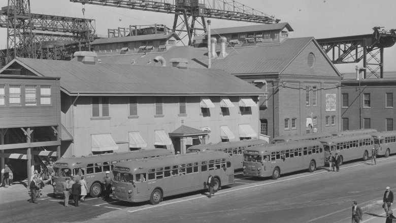 WWII buses