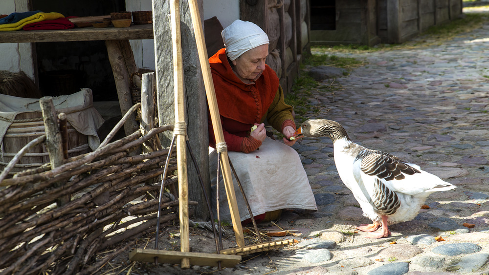 woman medieval clothing