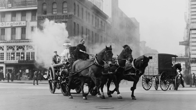 Horses in New York City