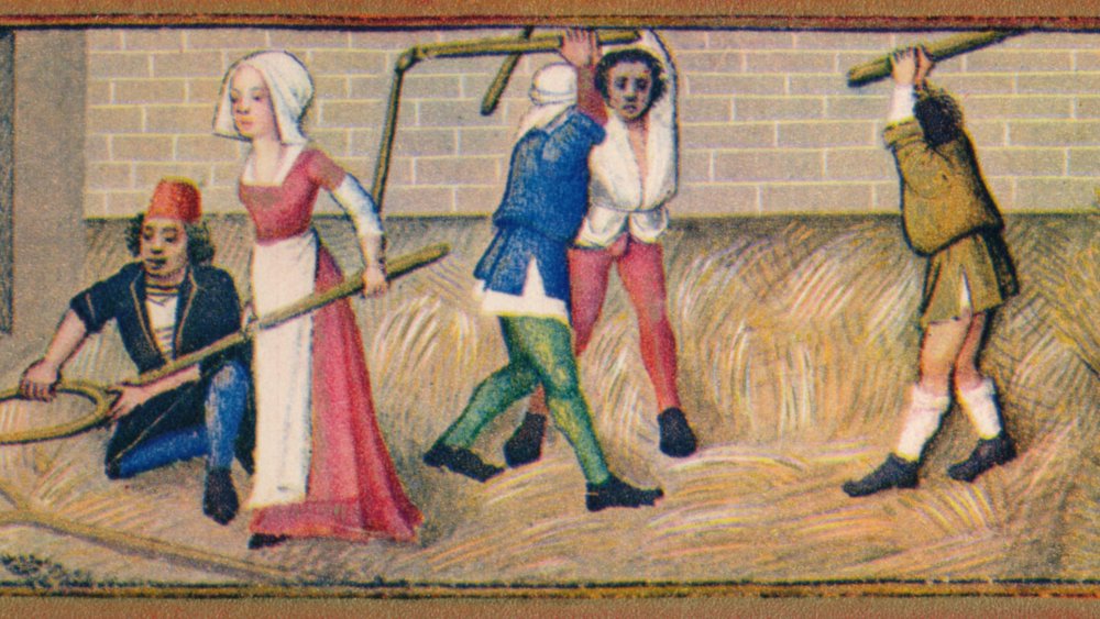 Medieval peasants