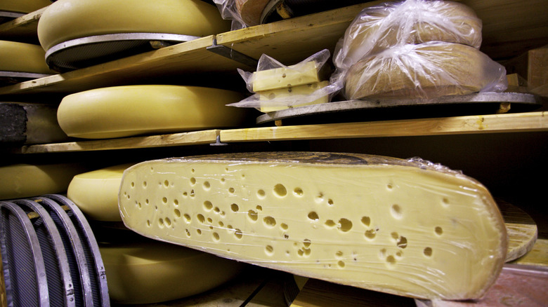 Emmental cheese in storage