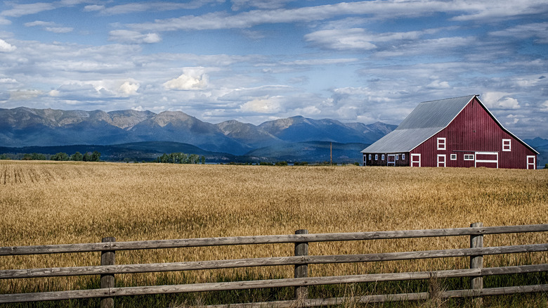 Montana countryside