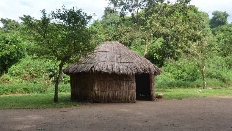 Taino hut