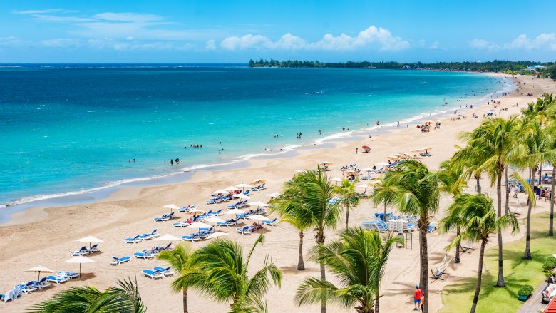 Palm trees on the beach of Puerto Rico
