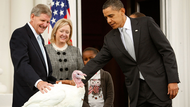 President Barack Obama pardons a turkey