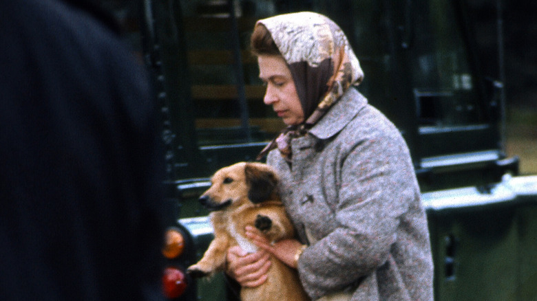 Queen Elizabeth struggles with one of her many pets