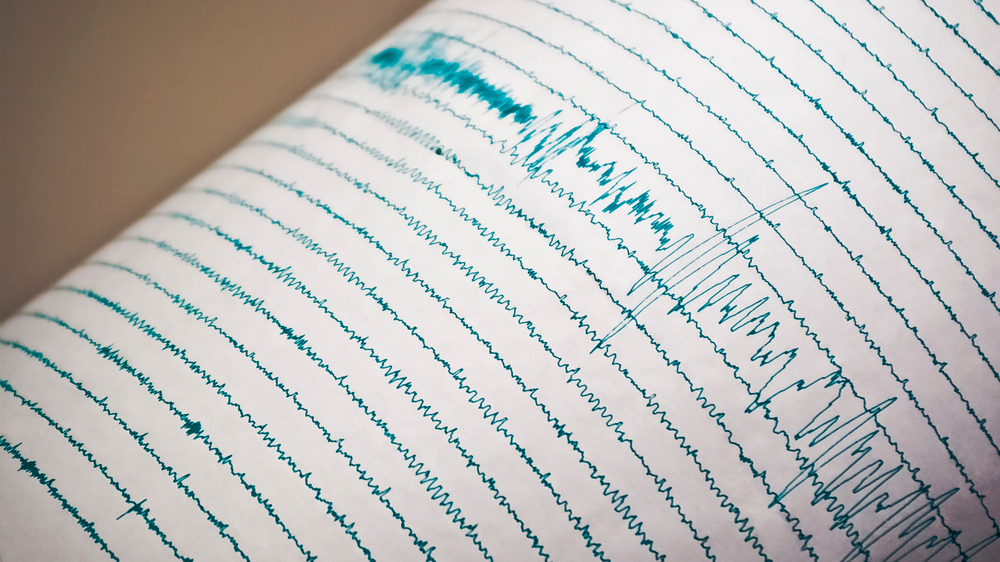 Seismograph 