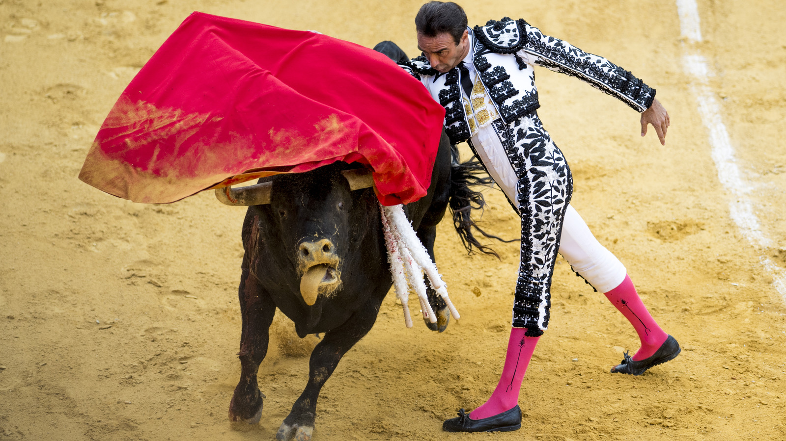 What Really Happens At A Bullfight