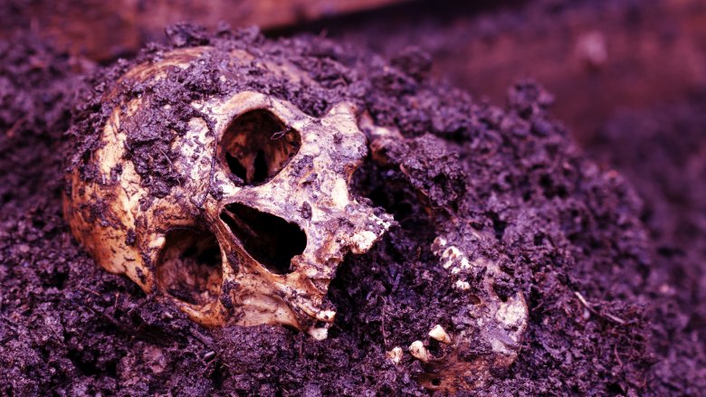 skull, dirt