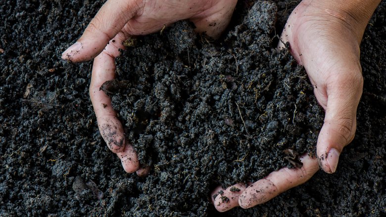 hands, soil