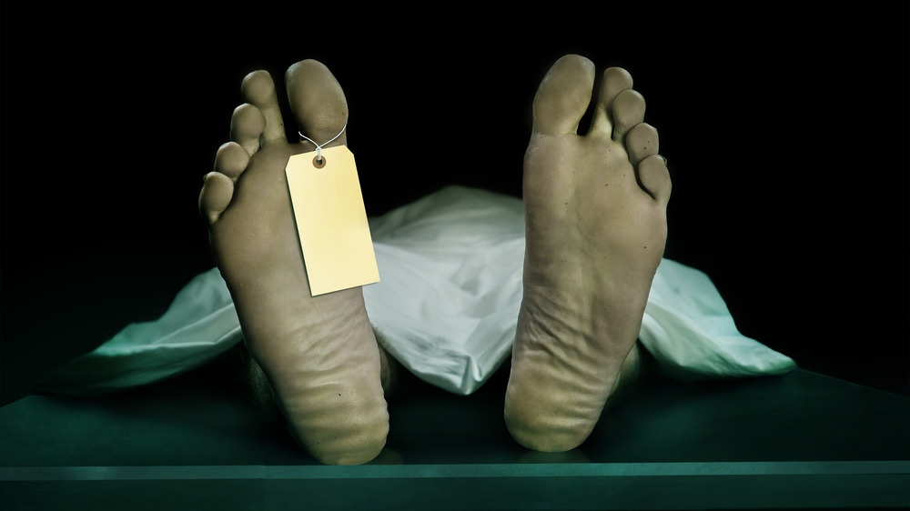 what-really-happens-to-your-body-after-10-years-in-a-coffin