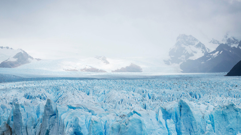 Patagonia glaciers