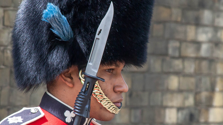 royal guards bearskin plume