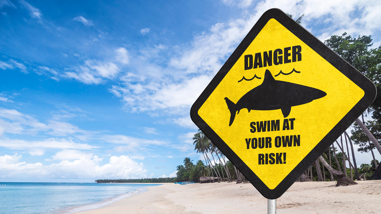 Shark warning sign on a beach