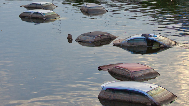 Cars stuck in flood