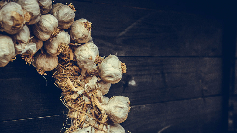 garlic wreath vampire