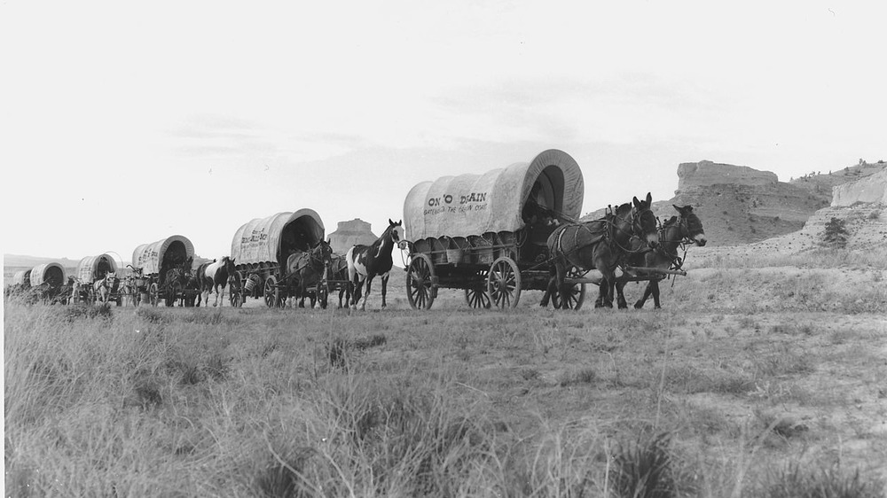 Oregon Trail reenactment of wagon trains