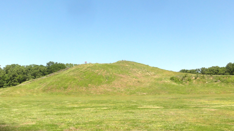 Bird Mound