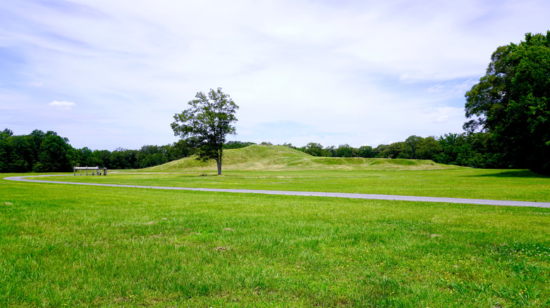Monumental Earthwork Poverty Point Mound