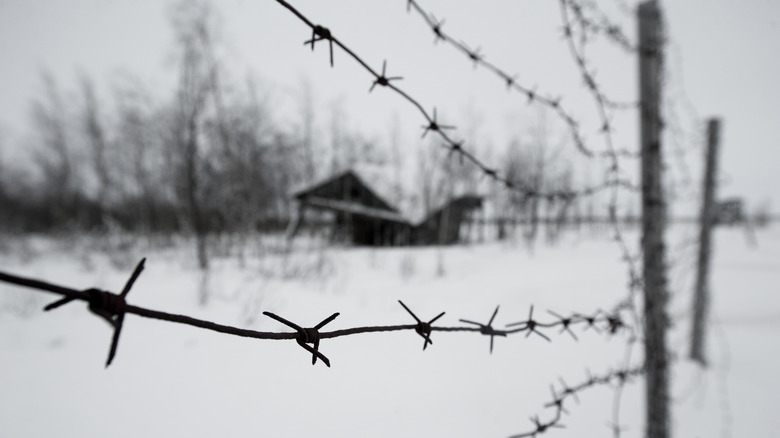 gulag barbed wire snow