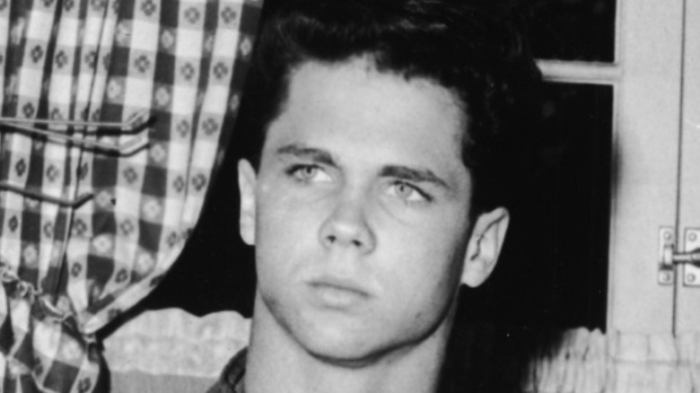 Tony Dow as Wally Cleaver