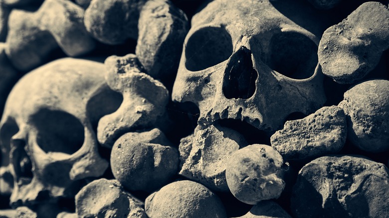 Skulls and bones