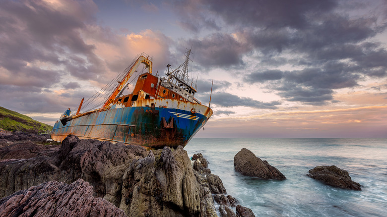 The MV Alta ran ashore 