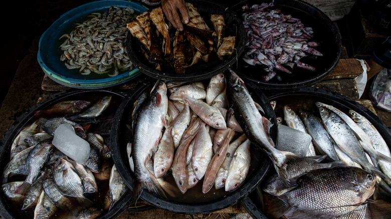 Seafood for sale