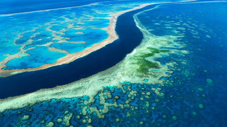 Great Barrier Reef aerial