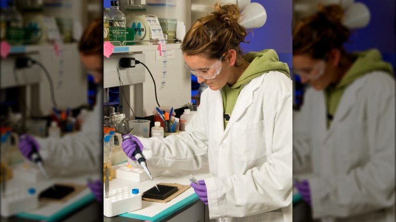 Female lab technician with pipette