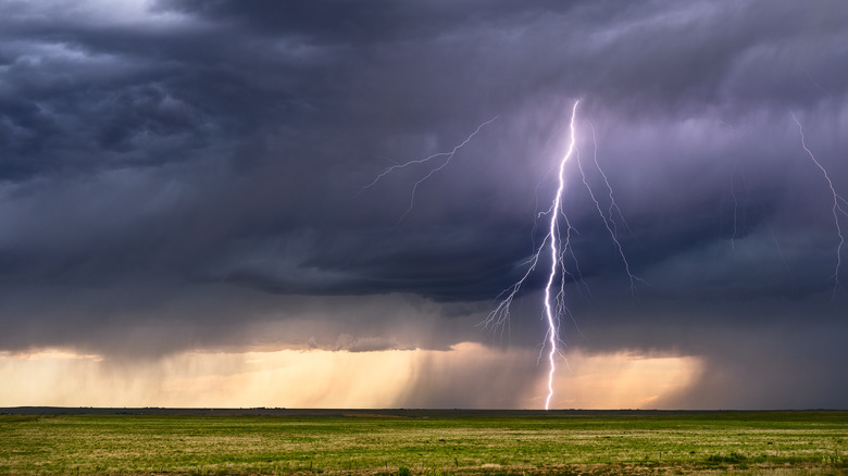 Lightning strikes the ground