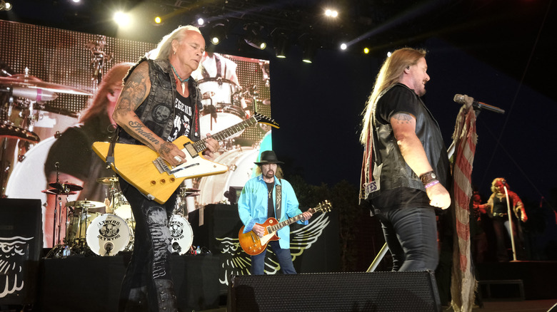 Lynyrd Skynyrd performs in concert