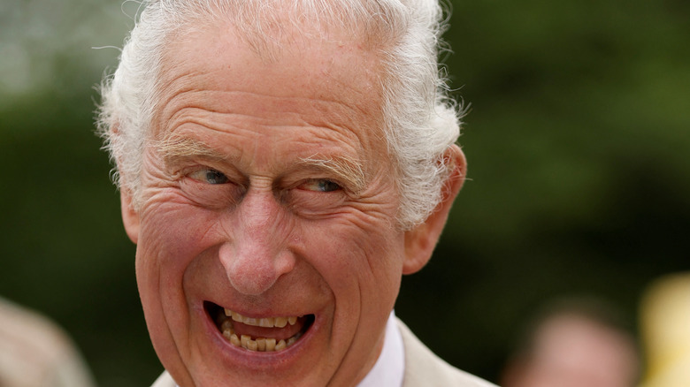 Prince Charles has a chuckle