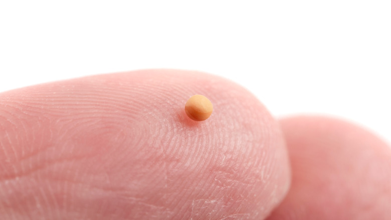 a mustard seed on a fingertip