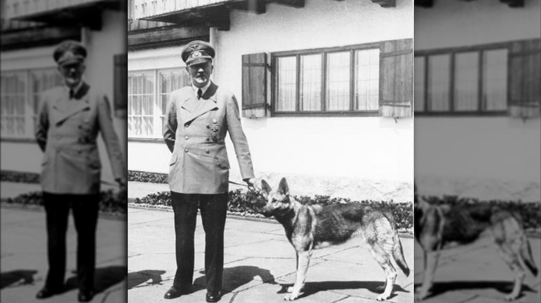 Adolf Hitler and Blondi