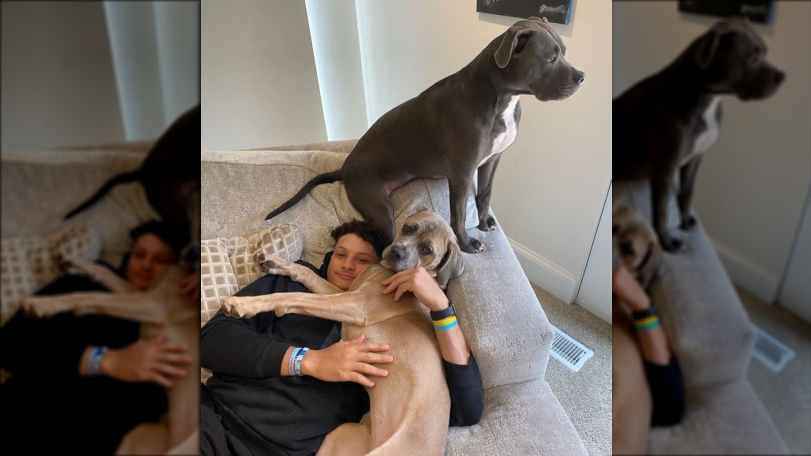 What You Need To Know About Patrick Mahomes' Dogs