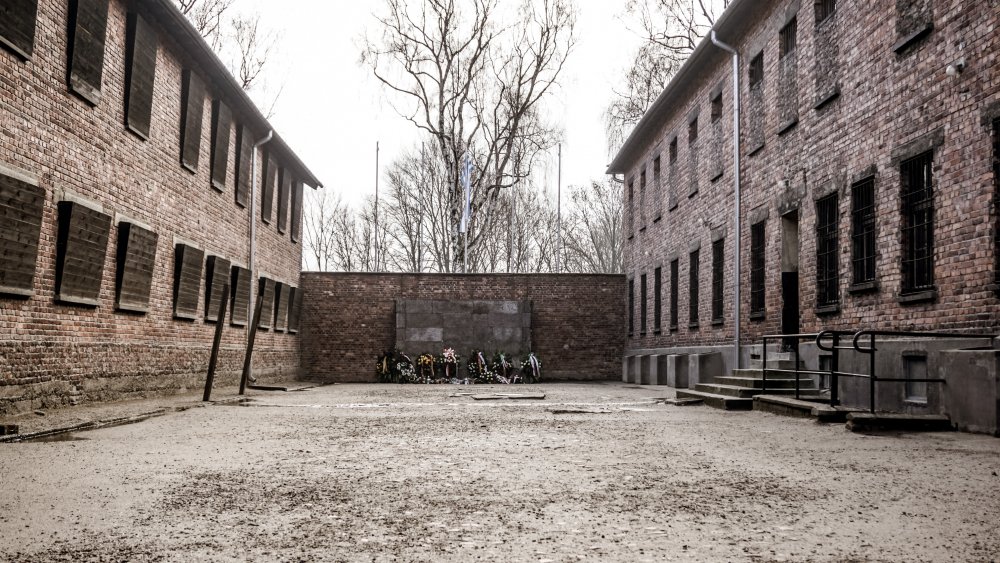 auschwitz death wall