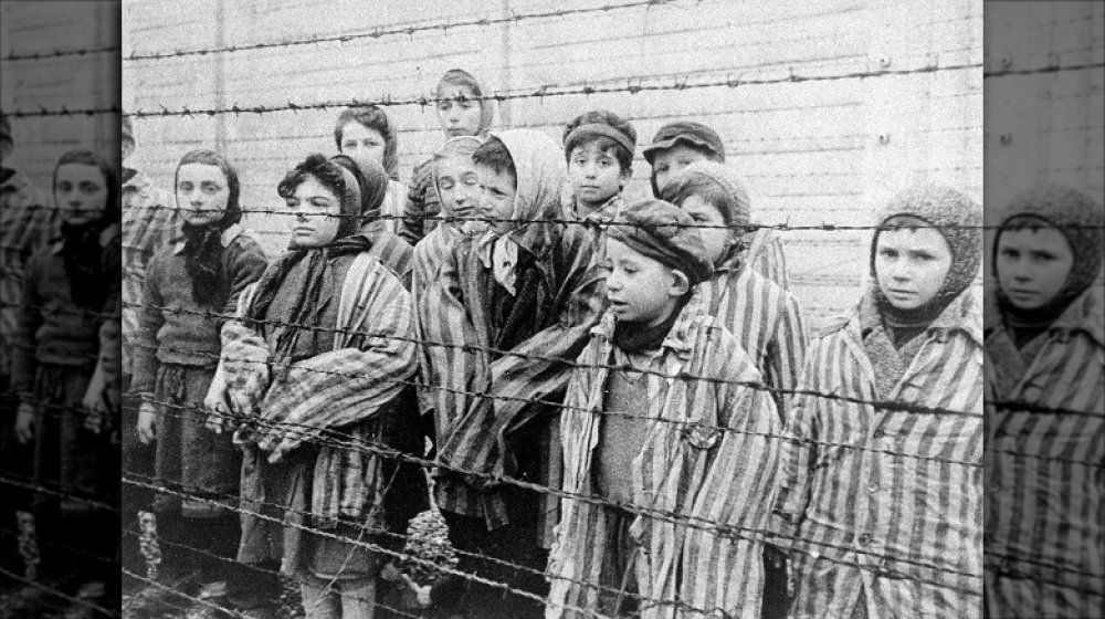 twins in auschwitz