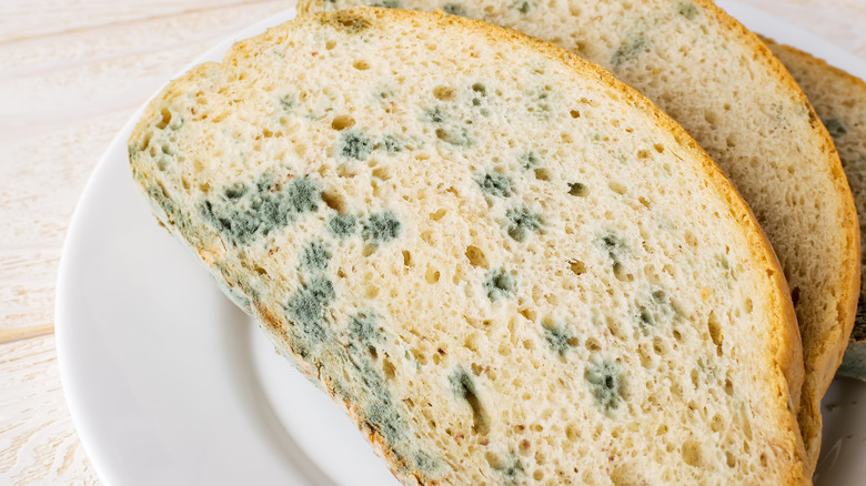 Moldy bread