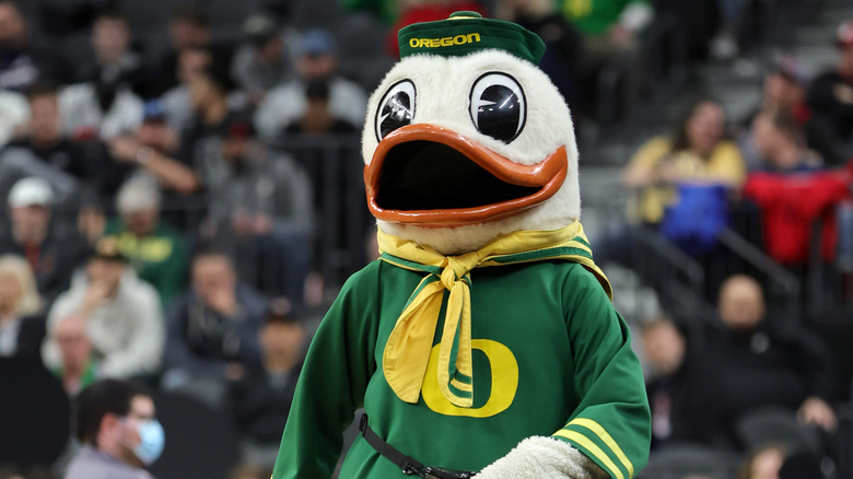 Oregon Ducks mascot