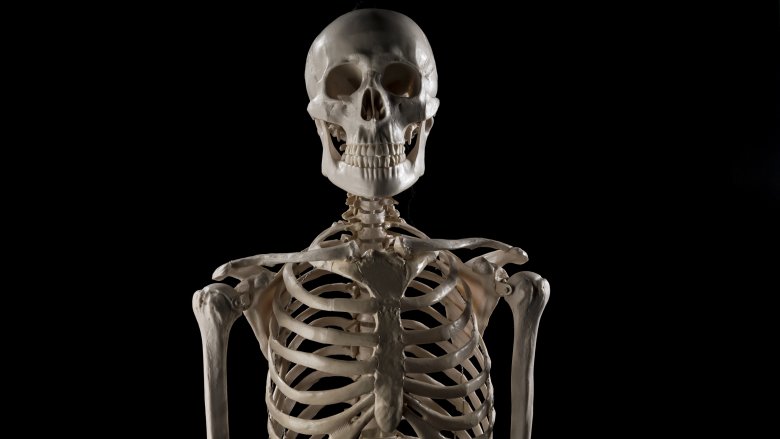 skeleton