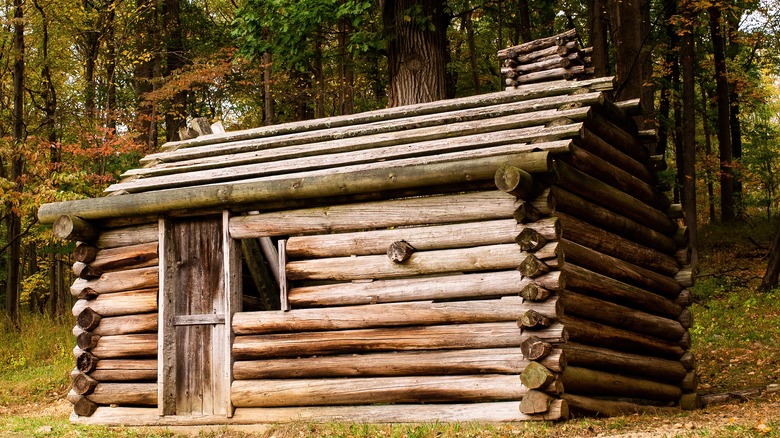 is this log hut a "shebang"?