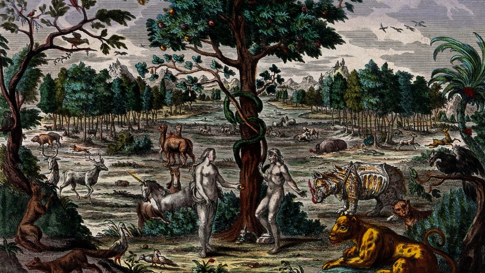 An illustrative depiction of the Garden of Eden