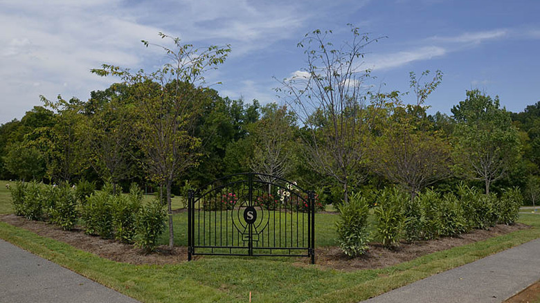 Donna Summer's grave