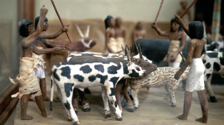 model of ancient humans herding cattle